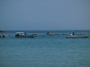 Cimg0966