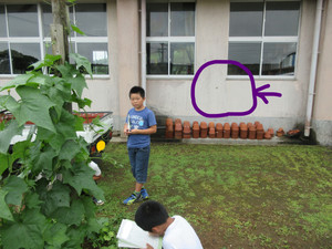 Inkedinkedimg_8403_li