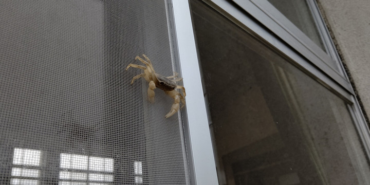 Horizon_0001_burst20230522182908293