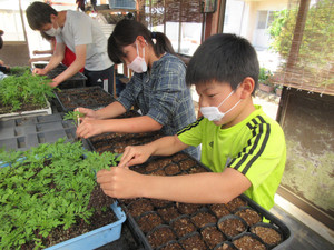 Inkedimg_7381_li