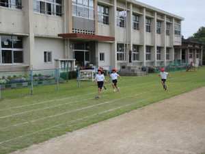 Img_7431 Img_7431