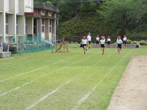 Img_7439 Img_7439