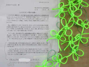 Inkedimg_4455_li